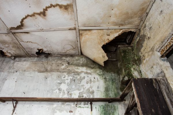 Cost of Water Damage Service in Apache Junction