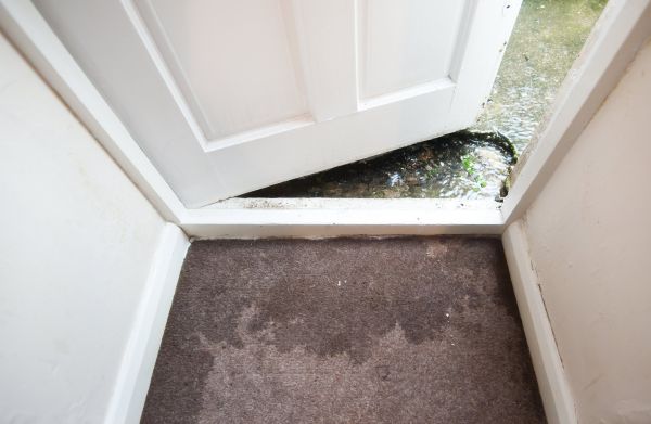 Cost of Wet Carpet Restoration in Apache Junction