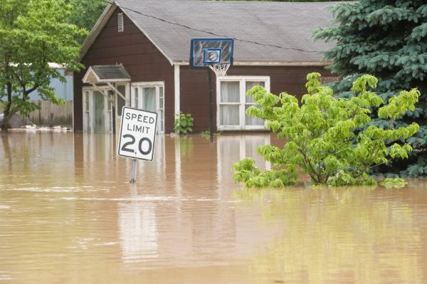 Cost of Storm Restoration Service in Apache Junction