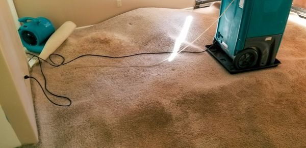 Cost of Flood Damage Cleanup in Apache Junction