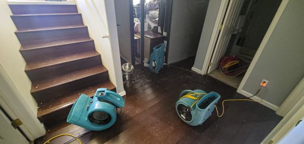 Cost of Water Damage Remediation in Apache Junction