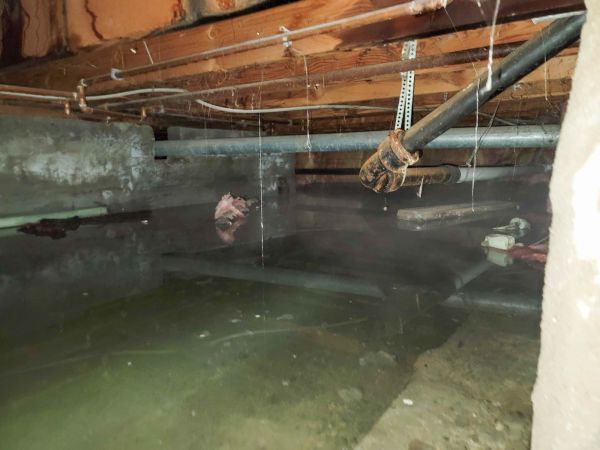 Cost of Water Mitigation Service in Apache Junction