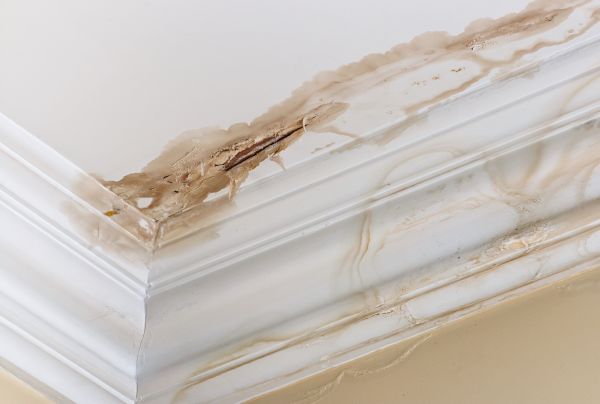 Cost of Water Damage Recovery in Apache Junction